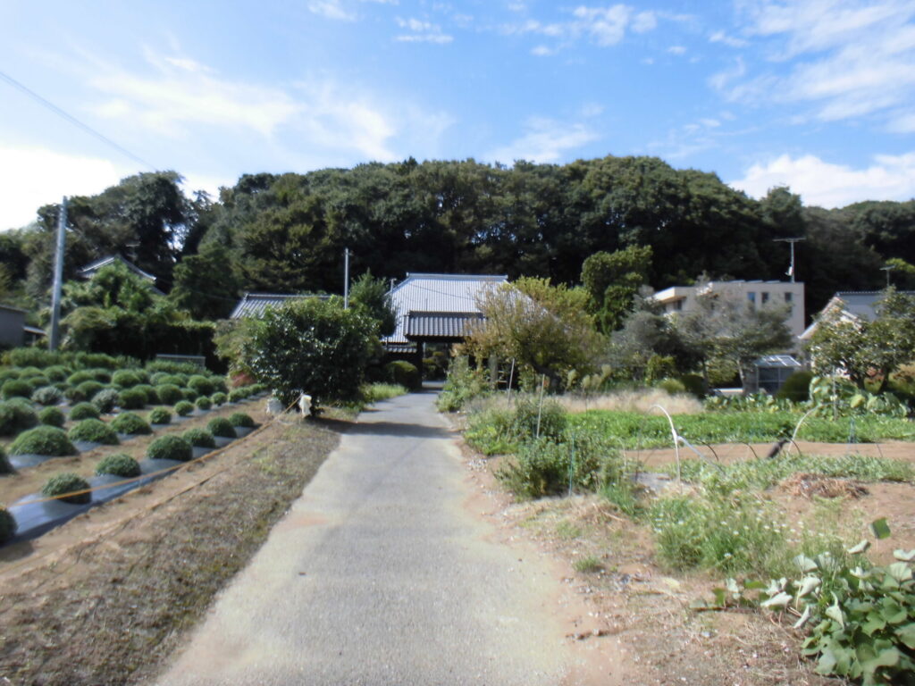 旧澁谷家住宅　江戸時代そのままの景色　文政9年（1826）　名主の大規模屋敷構え　房総民家の特長