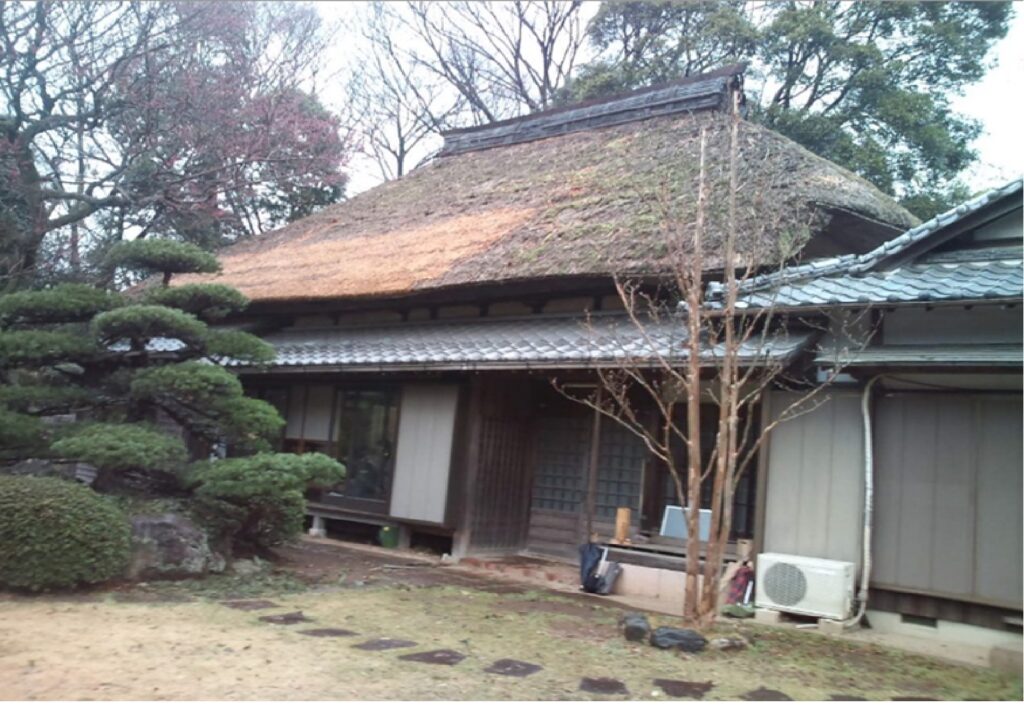 旧齋藤家住宅主屋　松戸の原風景  　茅葺屋根は高い